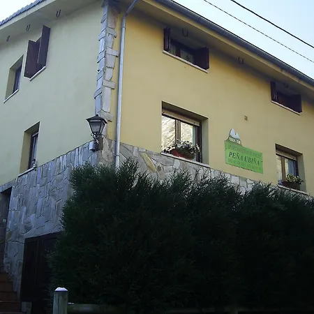 Pena Ubina
