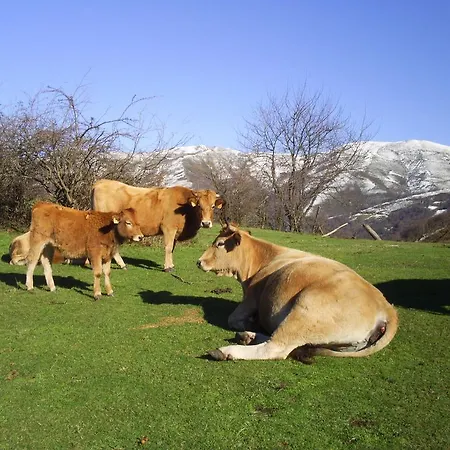 Apartamento Pena Ubina Tuiza de Abajo